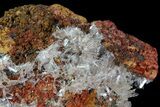 Hemimorphite Crystal Cluster - Chihuahua, Mexico #81121-1